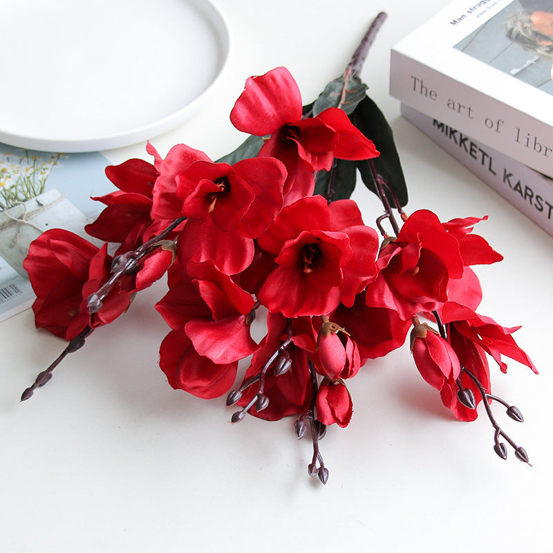 Flowers Home Decoration  Photography