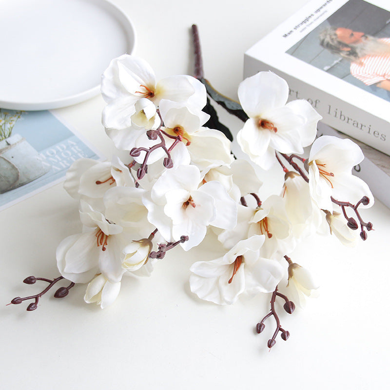 Flowers Home Decoration  Photography