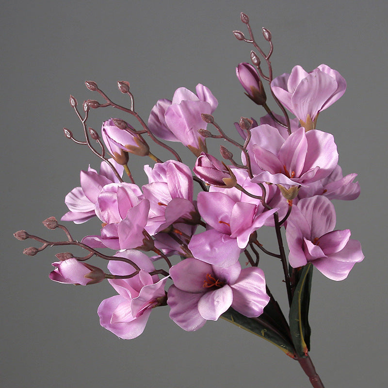 Flowers Home Decoration  Photography