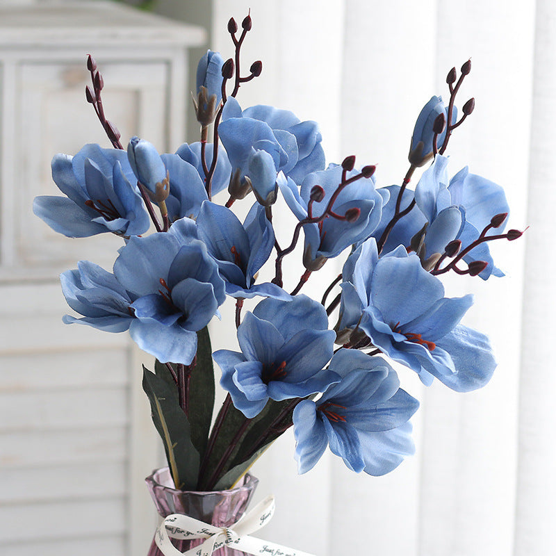 Flowers Home Decoration  Photography