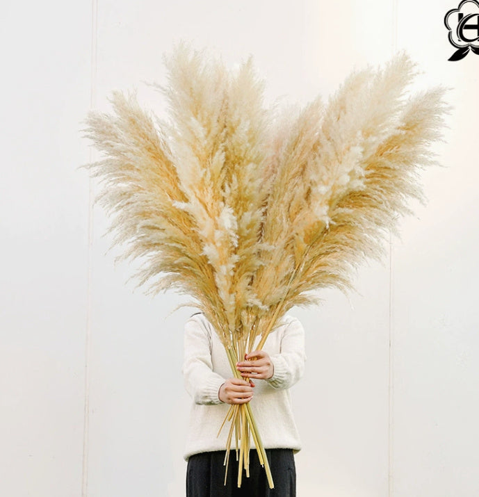 Pampas Bouquet Of Small Dried Reed Flowers