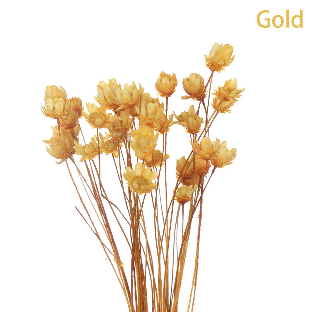 Artificial Flowers Spring Decoration Bright Color Dried