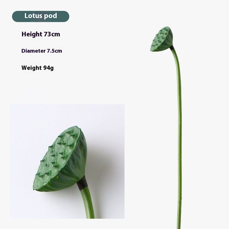 Flowers Lotus Lotus Pods