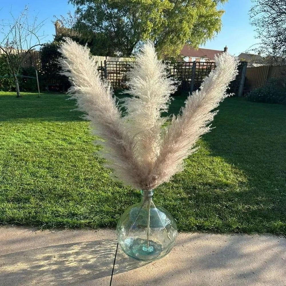 Large Pampas Grass Home Boho Decor Floral Decoration Dried Flowers.