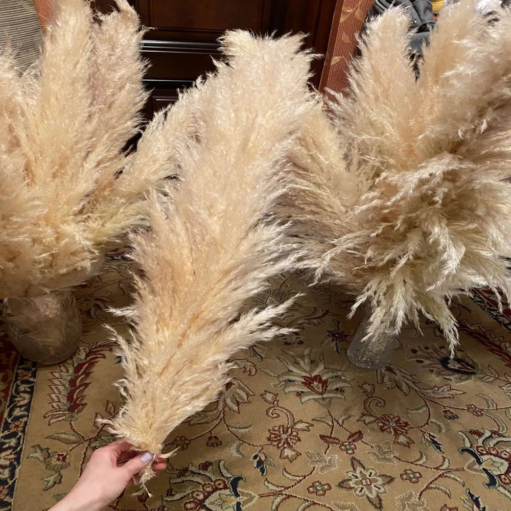 Large Pampas Grass Home Boho Decor Floral Decoration Dried Flowers.