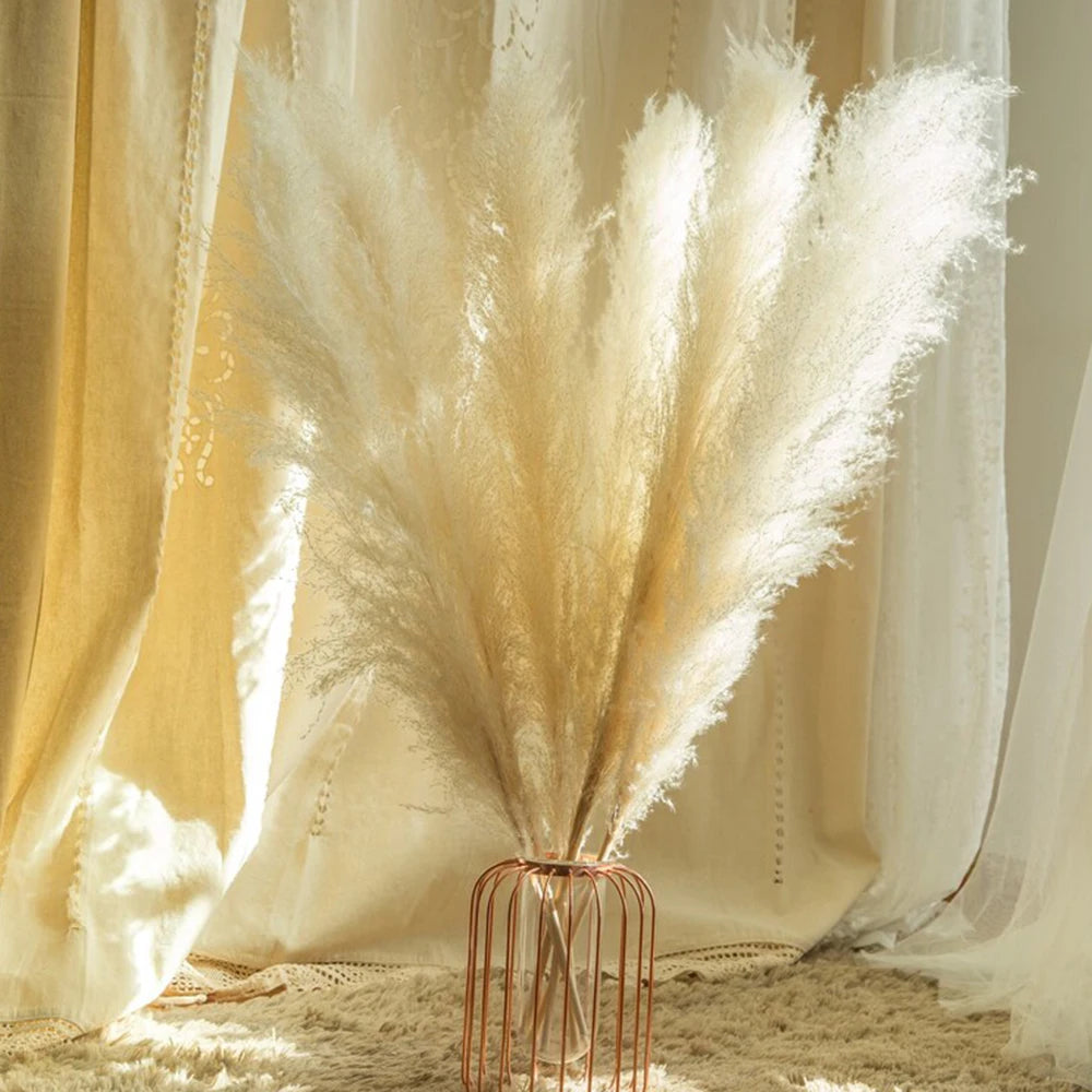 Large Pampas Grass Home Boho Decor Floral Decoration Dried Flowers.