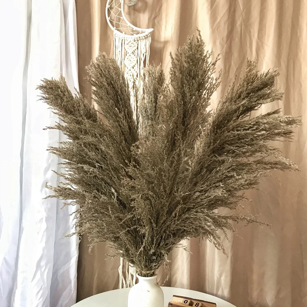 Large Plume,Dried Fluffy Pampas Grass,110 - 120cm