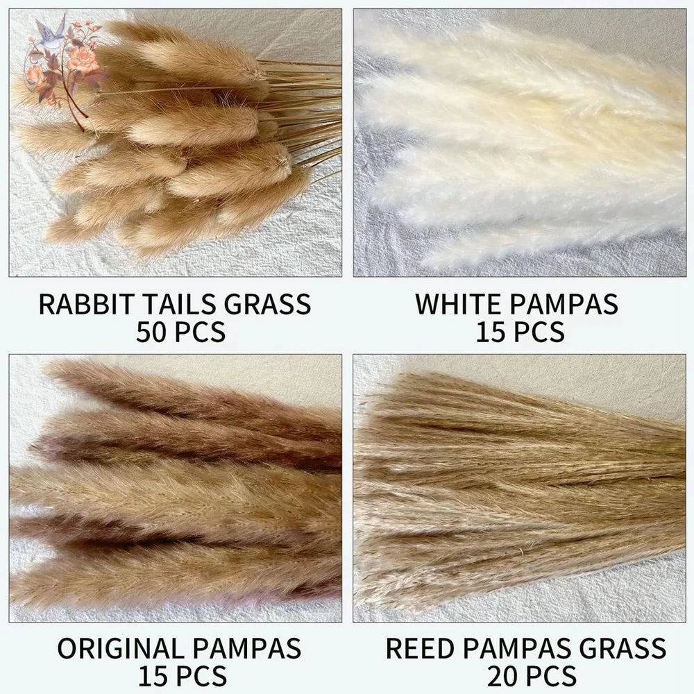 Natural Pampas Dried Flowers Bouquet Decoration