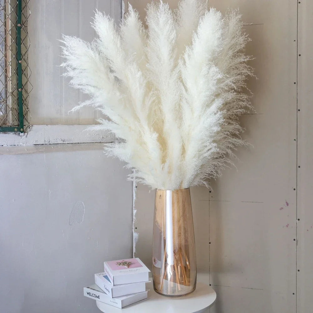 Large Plume,Dried Fluffy Pampas Grass,110 - 120cm