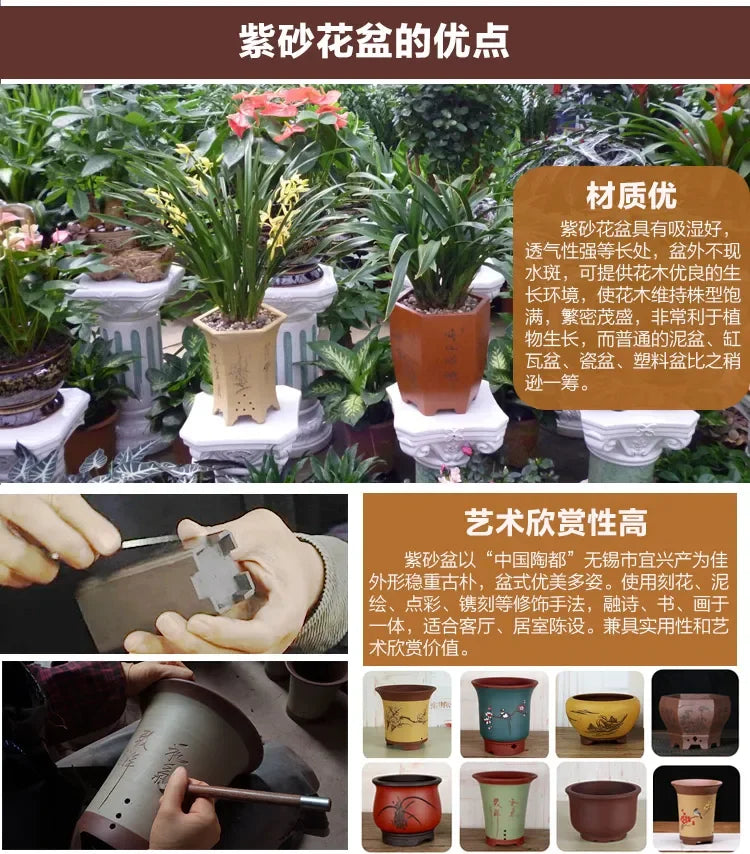 Purple Sand Flower Pot Tray High-end Boutique Orchid Pot Dedicated