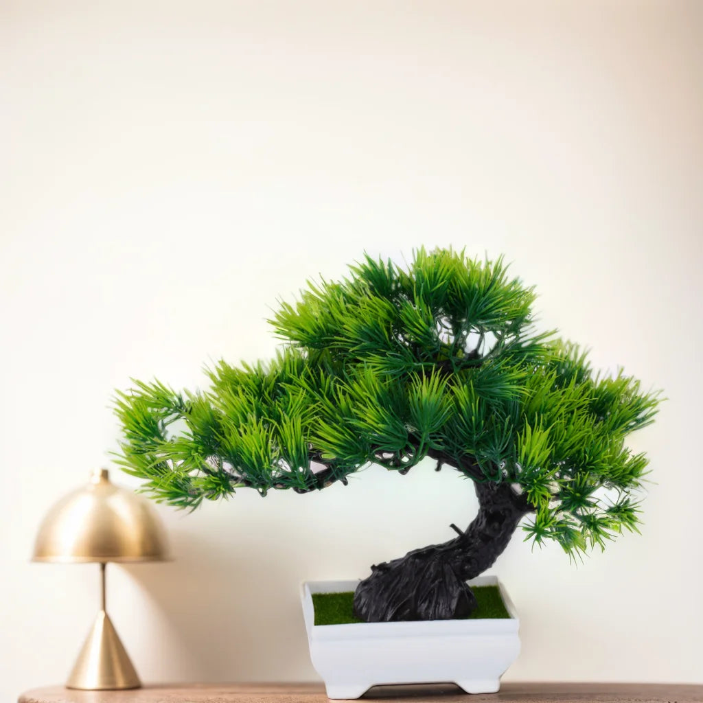 Kleiner Baum, Gras, Blume, Topf-Bonsai, Heimbüro-Dekoration.