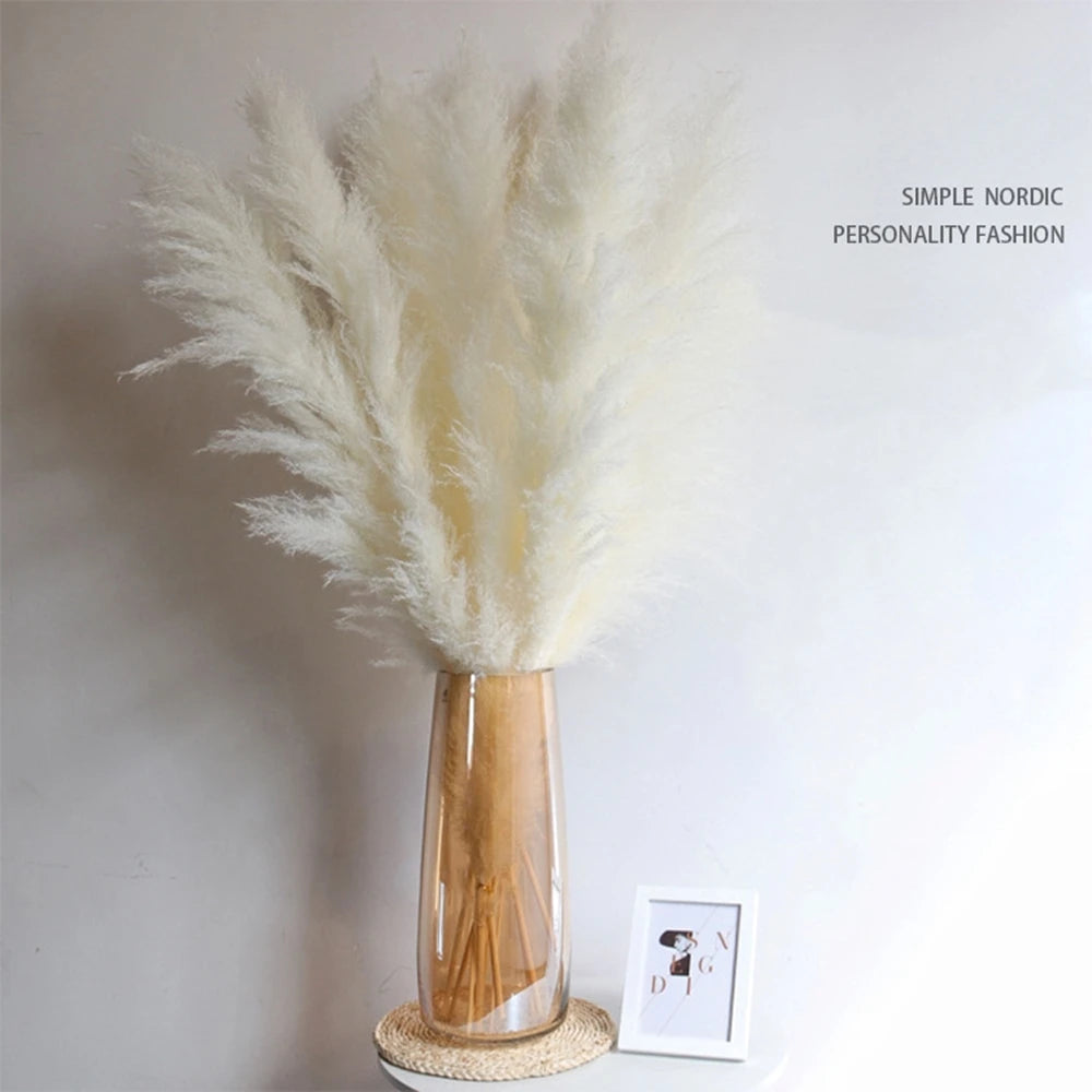 Large Plume,Dried Fluffy Pampas Grass,110 - 120cm