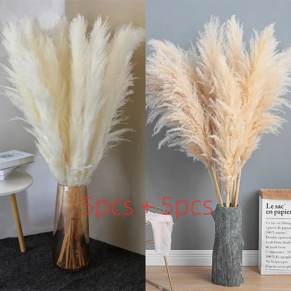 Large Plume,Dried Fluffy Pampas Grass,110 - 120cm