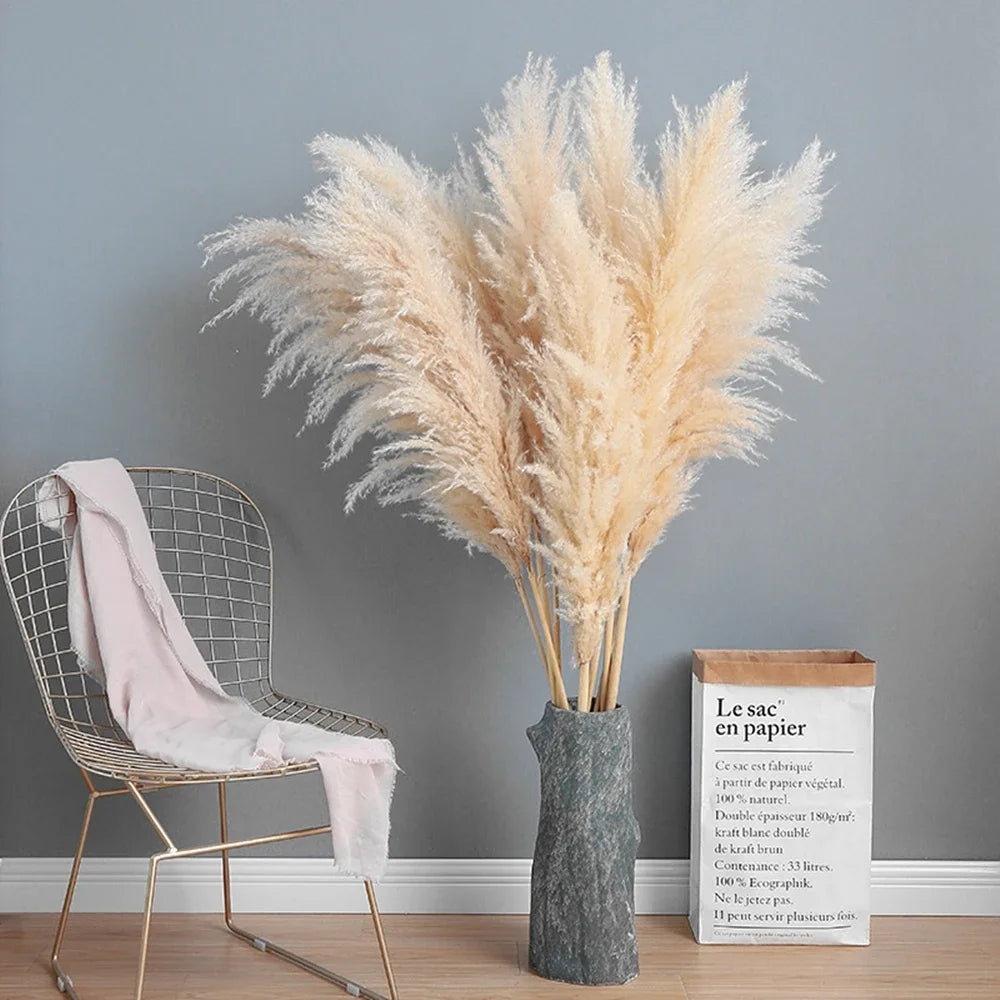 Large Plume,Dried Fluffy Pampas Grass,110 - 120cm