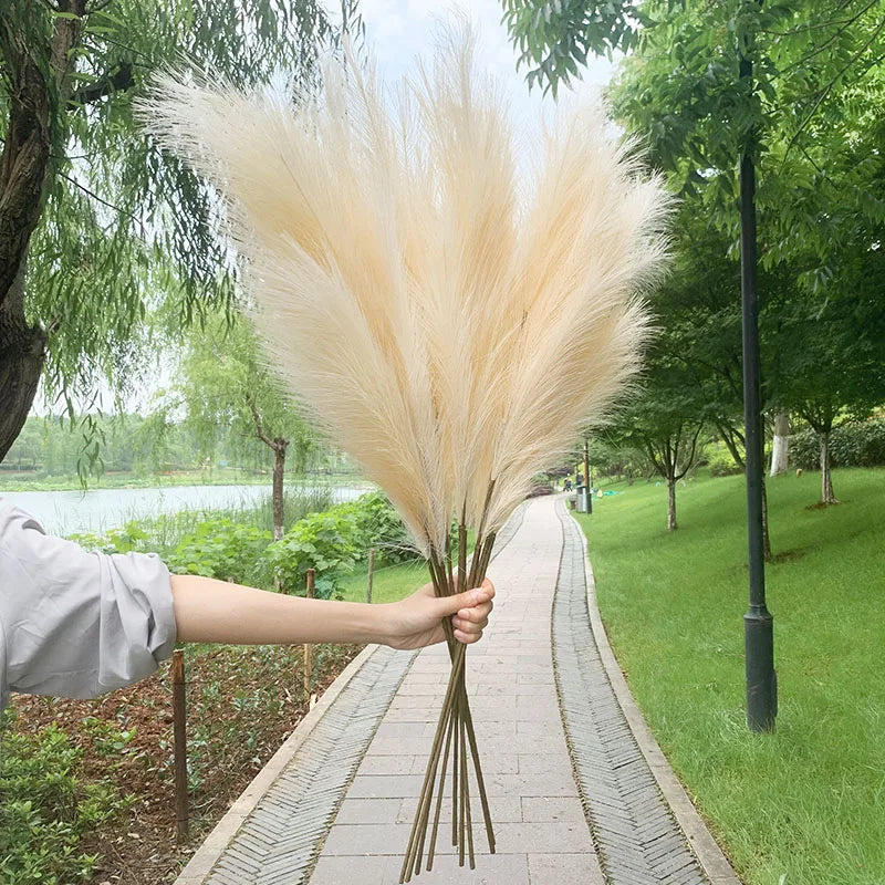 Artificial Pampas Grass Dried Reed Flowers 5pcs 100cm