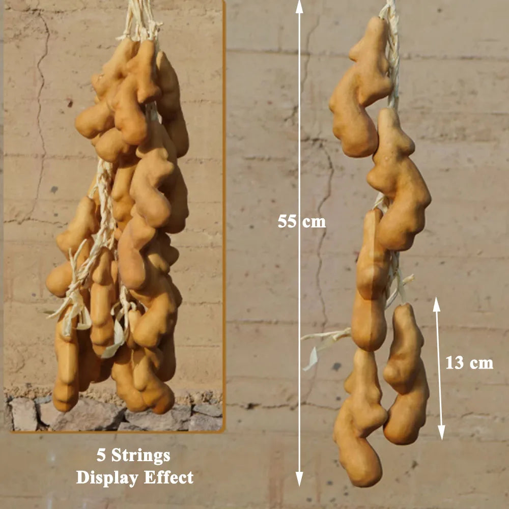 Artificial strings model assorted vegetables and fruits.