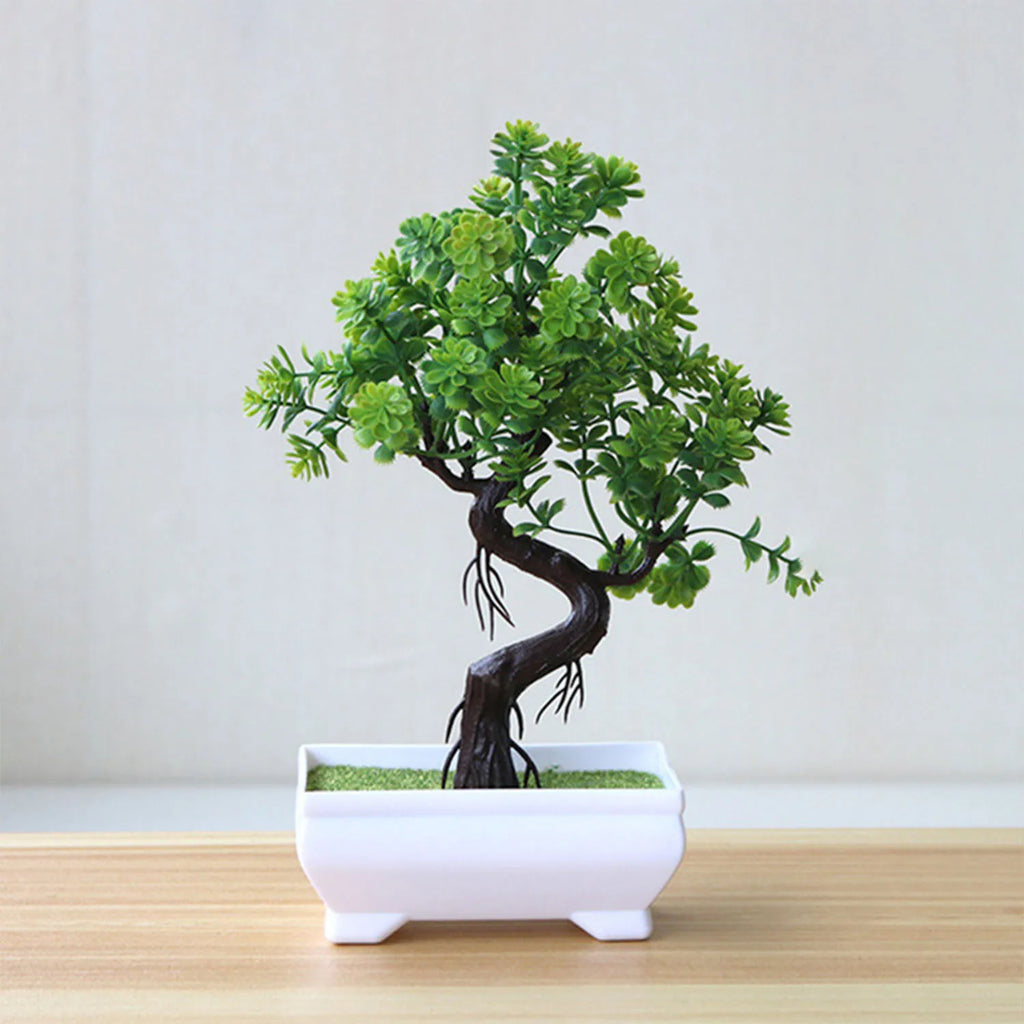Kleiner Baum, Gras, Blume, Topf-Bonsai, Heimbüro-Dekoration.