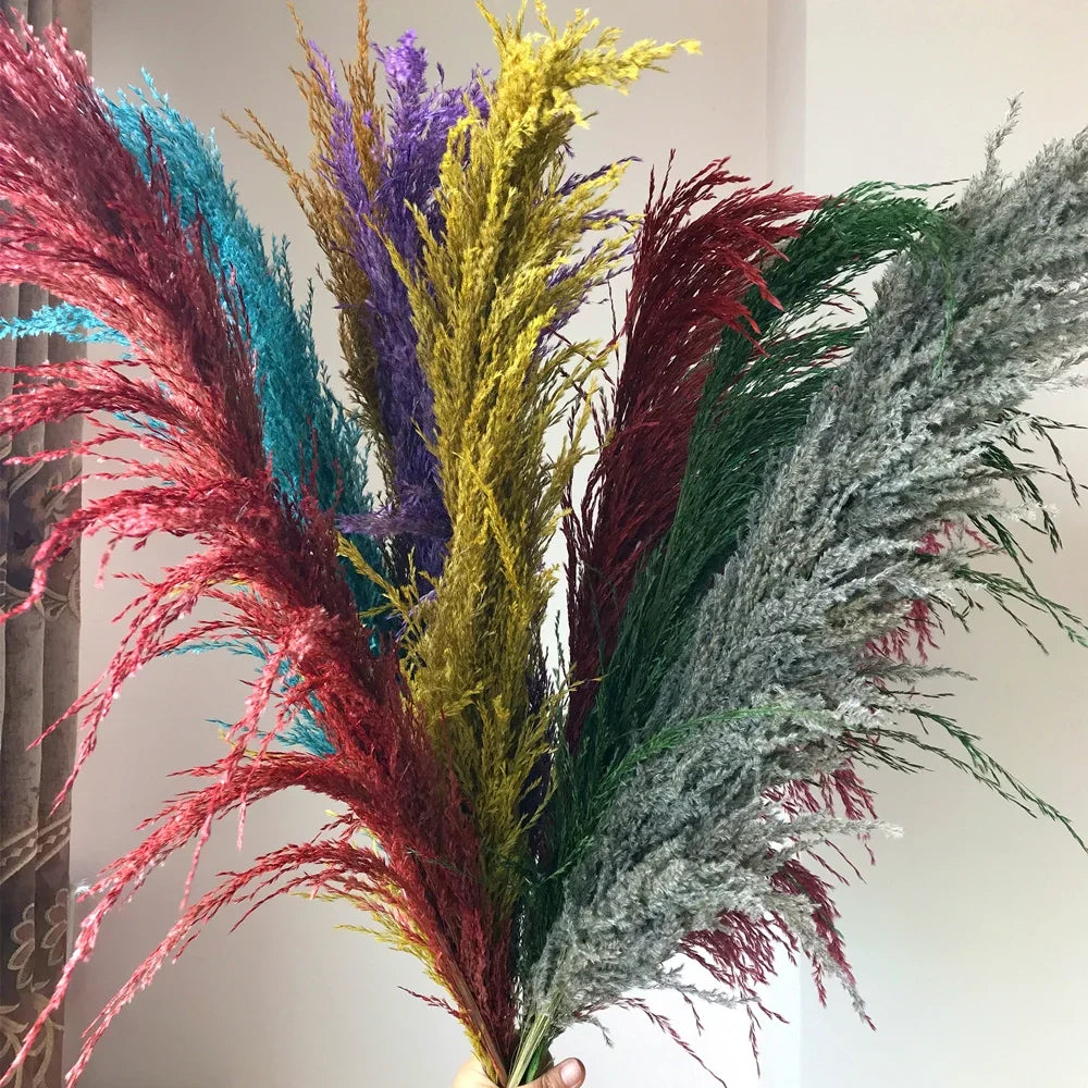Large Plume,Dried Fluffy Pampas Grass,110 - 120cm