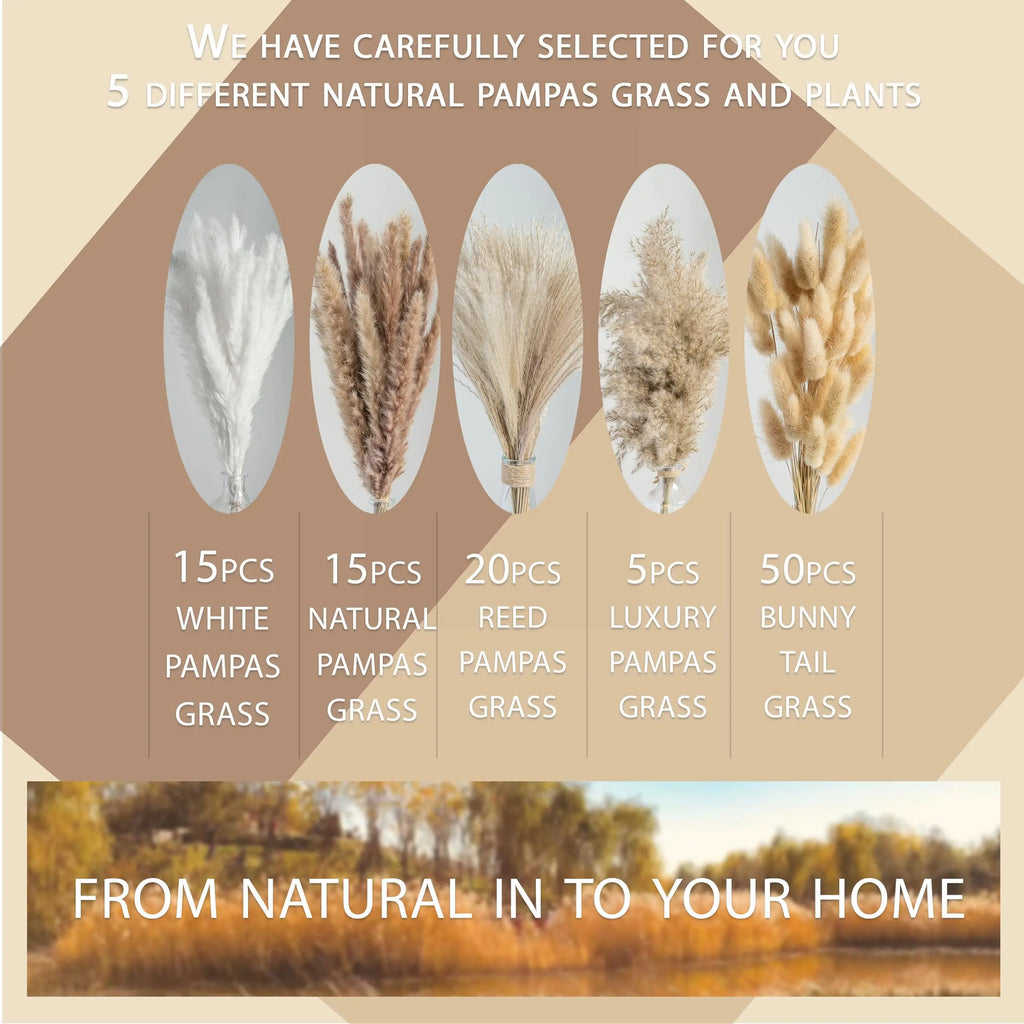 Fluffy Pampas Bunny Tail Grass Dried Artificial Flowers 120pcs