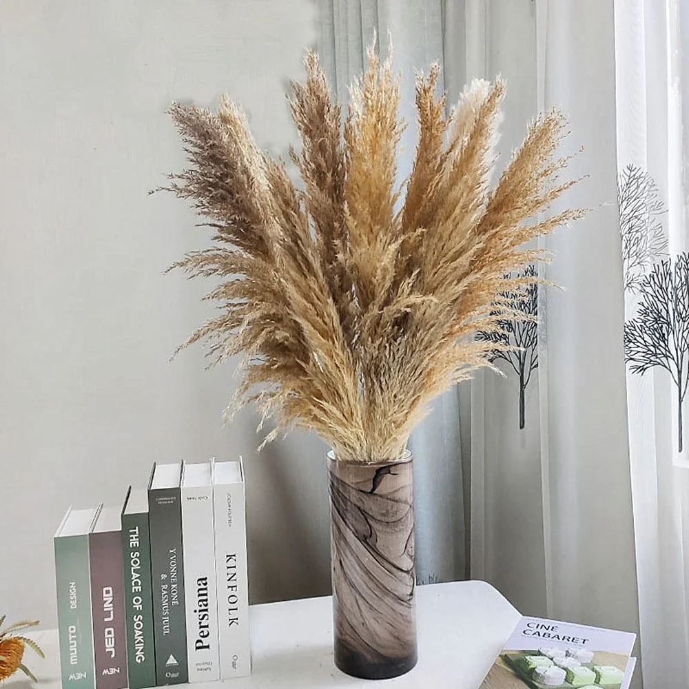 Large Plume,Dried Fluffy Pampas Grass,110 - 120cm