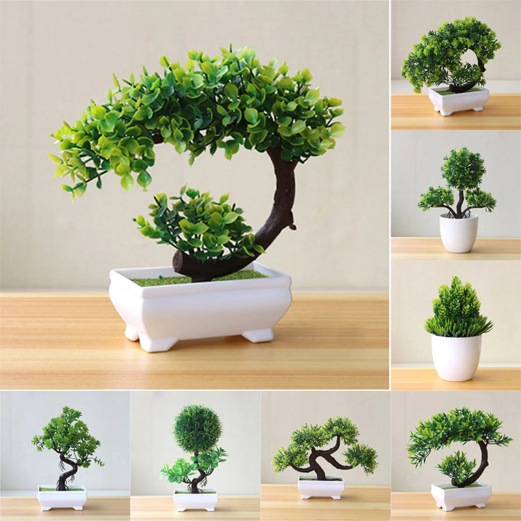 Kleiner Baum, Gras, Blume, Topf-Bonsai, Heimbüro-Dekoration.