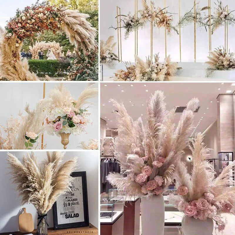 Large Plume,Dried Fluffy Pampas Grass,110 - 120cm