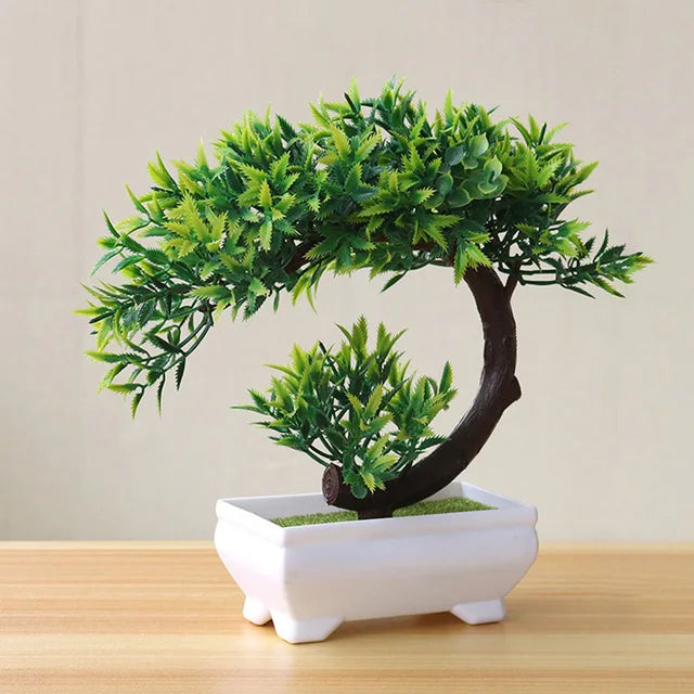 Kleiner Baum, Gras, Blume, Topf-Bonsai, Heimbüro-Dekoration.
