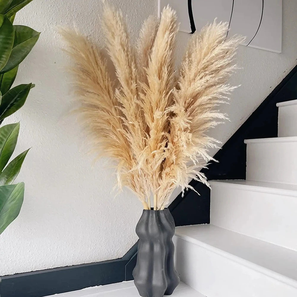 Large Pampas Grass Home Boho Decor Floral Decoration Dried Flowers.