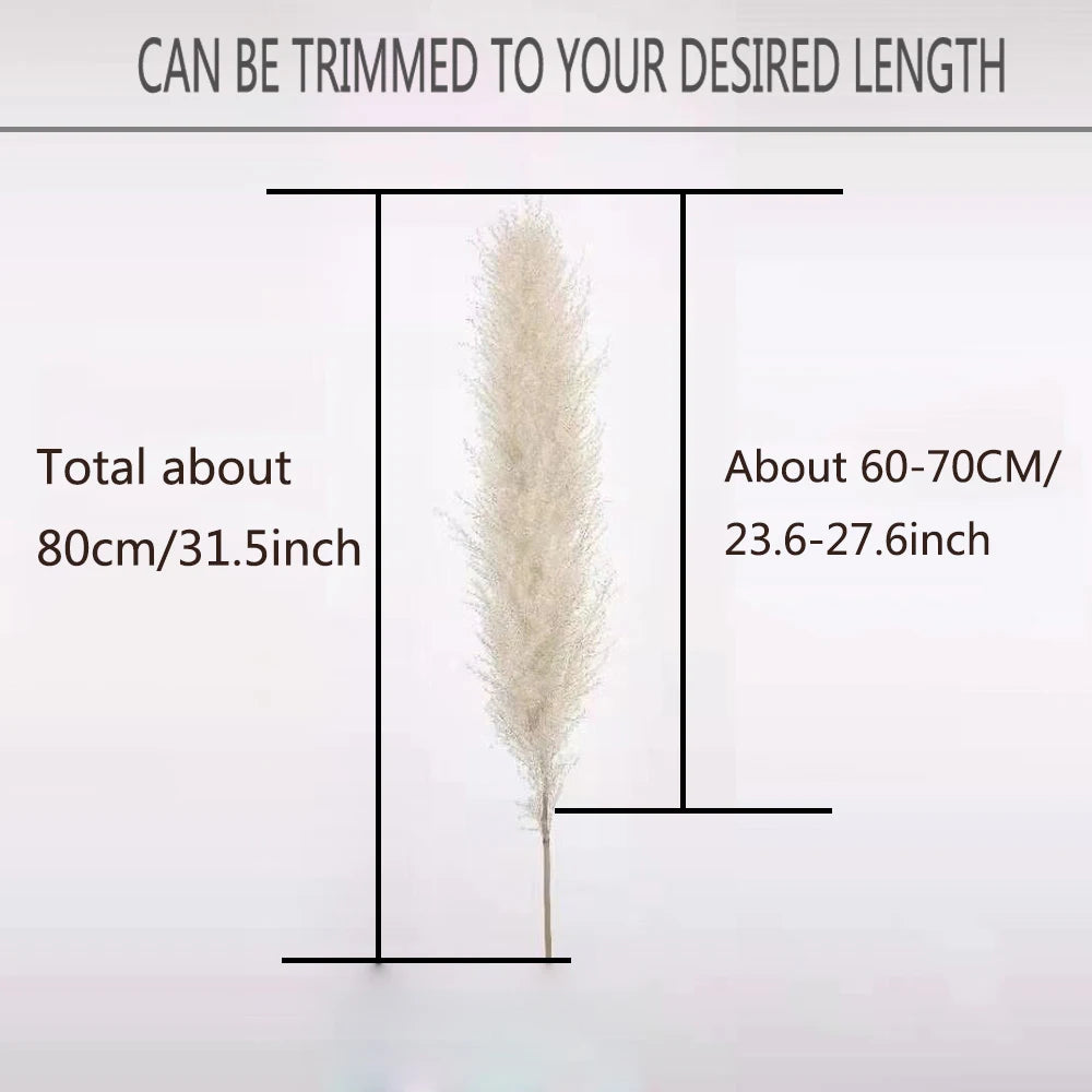 Large Pampas Grass Home Boho Decor Floral Decoration Dried Flowers.