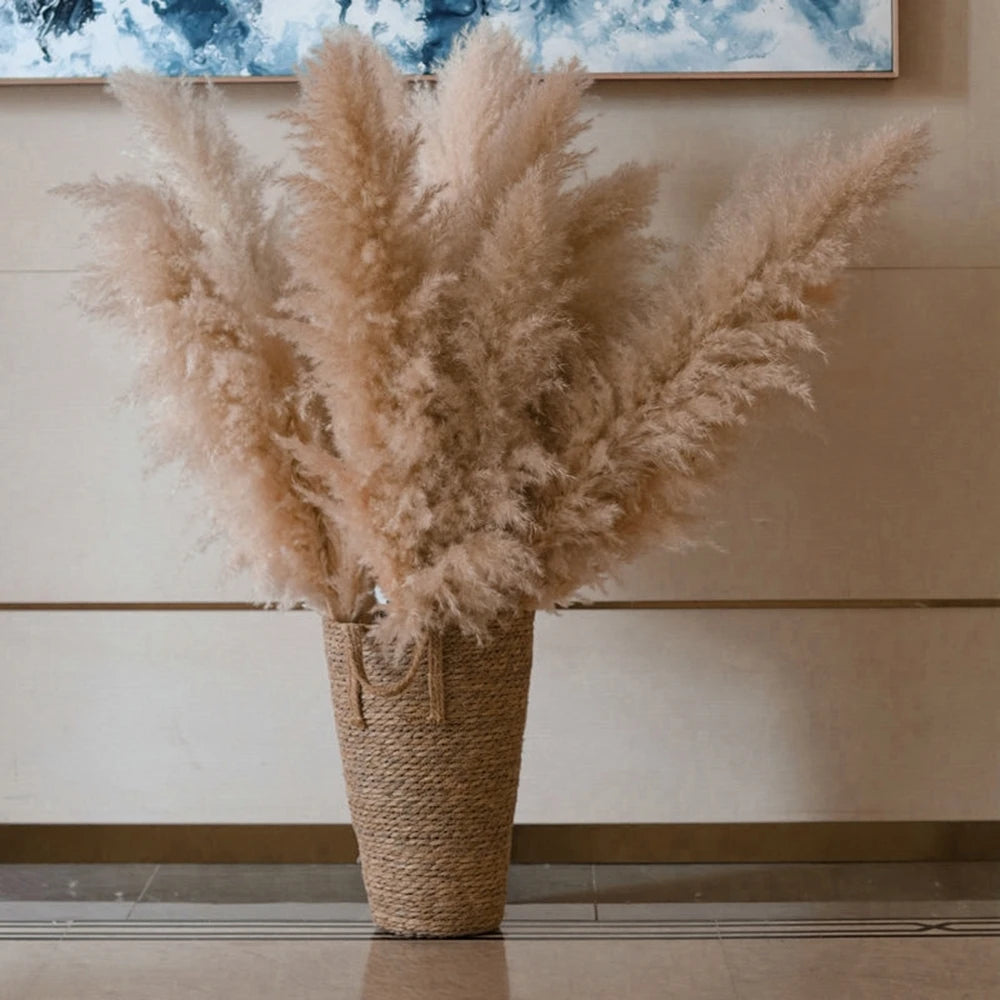 Large Plume,Dried Fluffy Pampas Grass,110 - 120cm