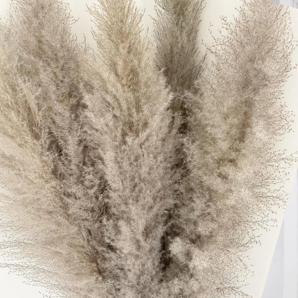 Large Pampas Grass Home Boho Decor Floral Decoration Dried Flowers.