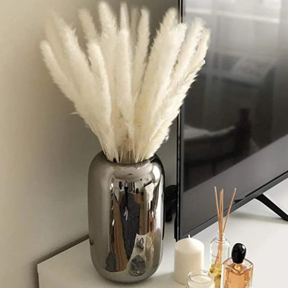 Natural Pampas Dried Flowers Bouquet Decoration