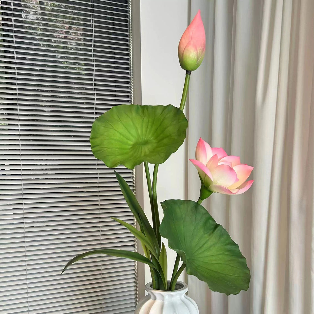Flowers Lotus Lotus Pods