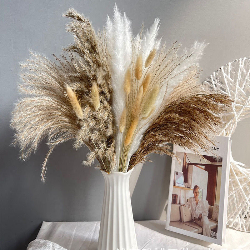 Pampas Bouquet Of Small Dried Reed Flowers